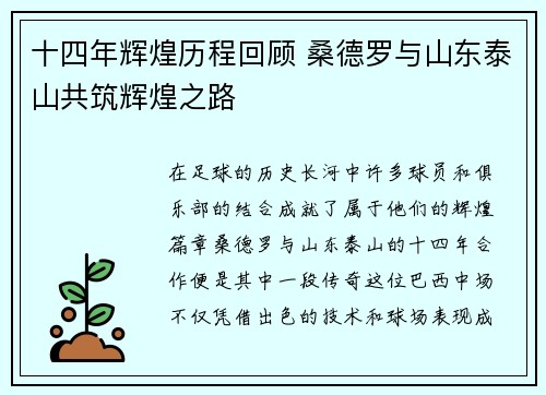 十四年辉煌历程回顾 桑德罗与山东泰山共筑辉煌之路