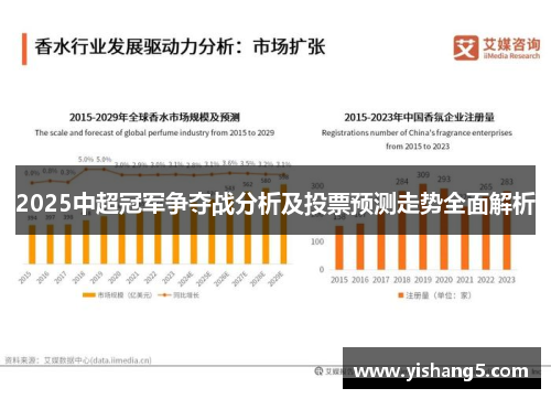 2025中超冠军争夺战分析及投票预测走势全面解析