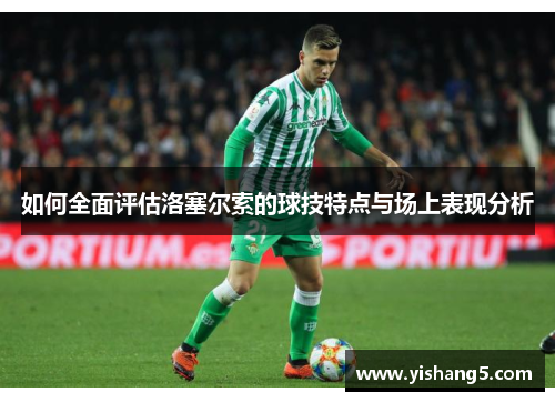 如何全面评估洛塞尔索的球技特点与场上表现分析